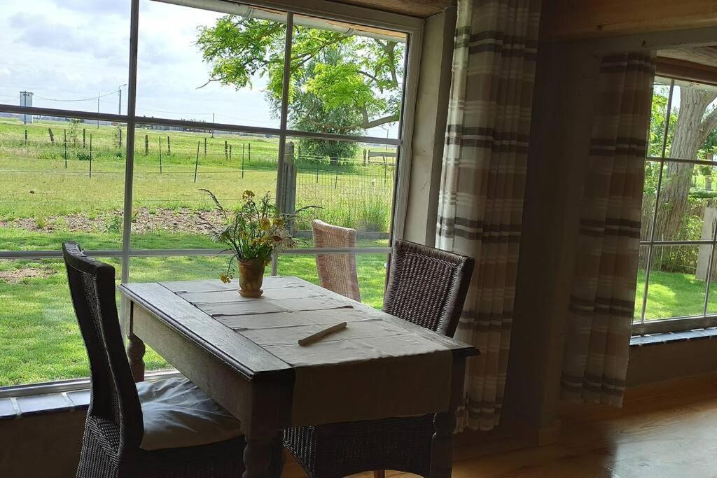 Korentil . Cosy House With Private Garden De Haan Ngoại thất bức ảnh